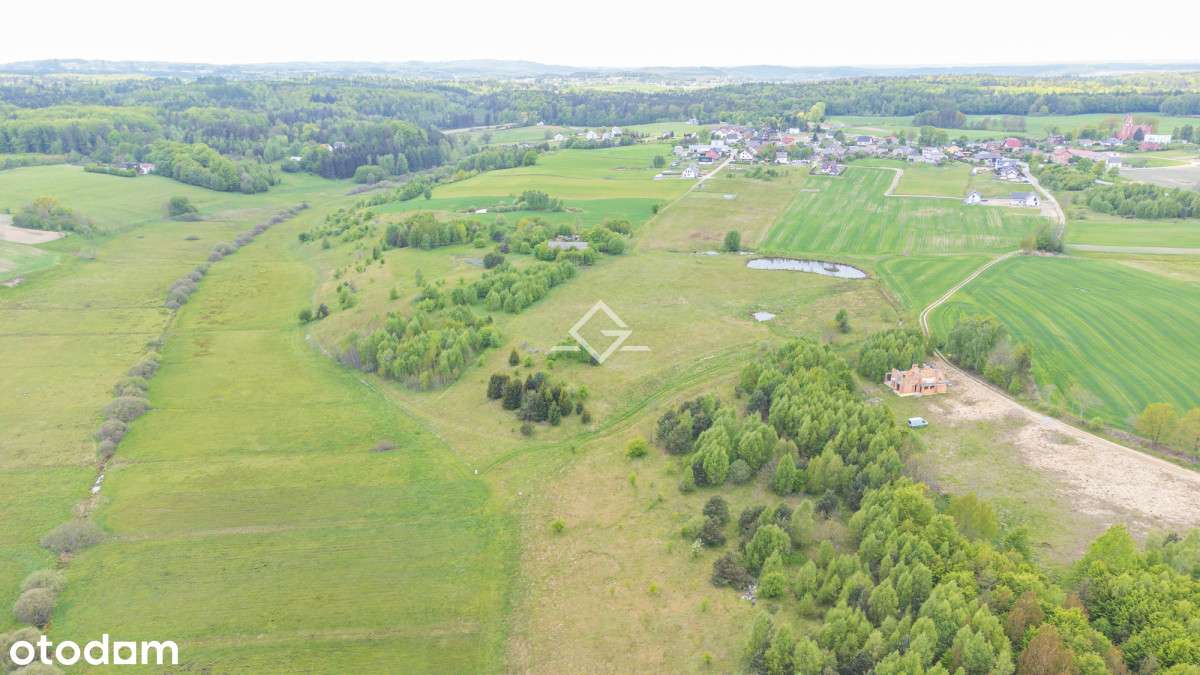 blisko natury | kaszuby | obwodnica metropolitarna - Pełny obrazek: 4/5