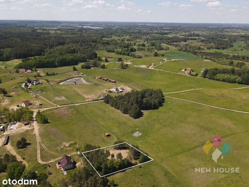 Działka częściowo zadrzewiona, możliwość zabudowy - Pełny obrazek: 3/10