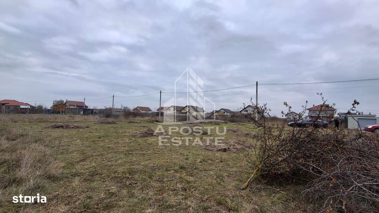 Teren intravilan 500mp Mandruloc - Imagine principală: 5/6