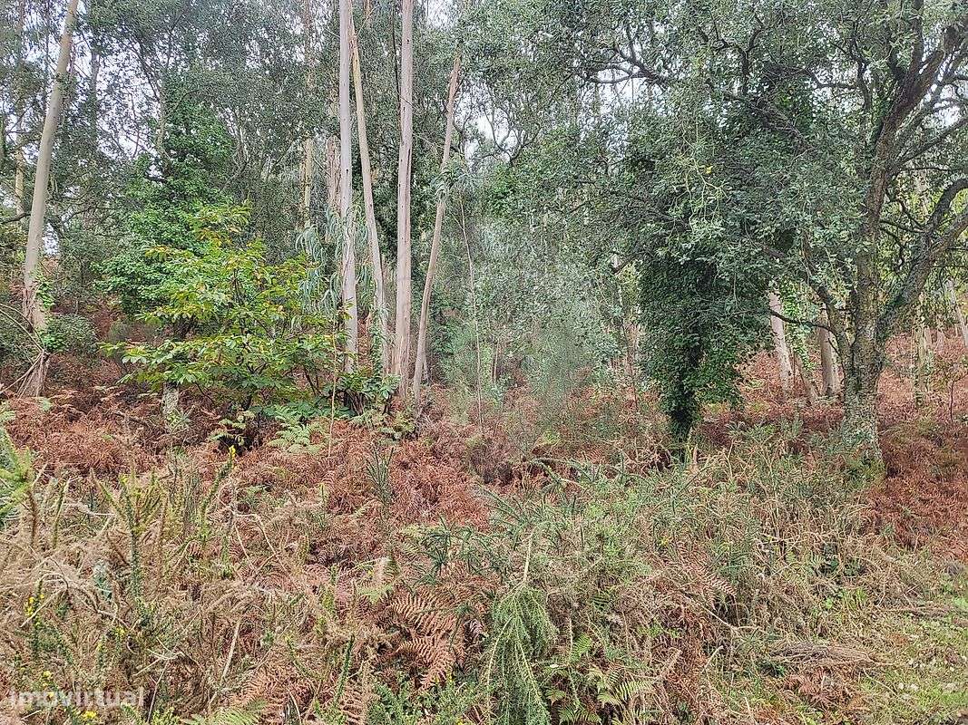 Terreno  para venda - Grande imagem: 5/10