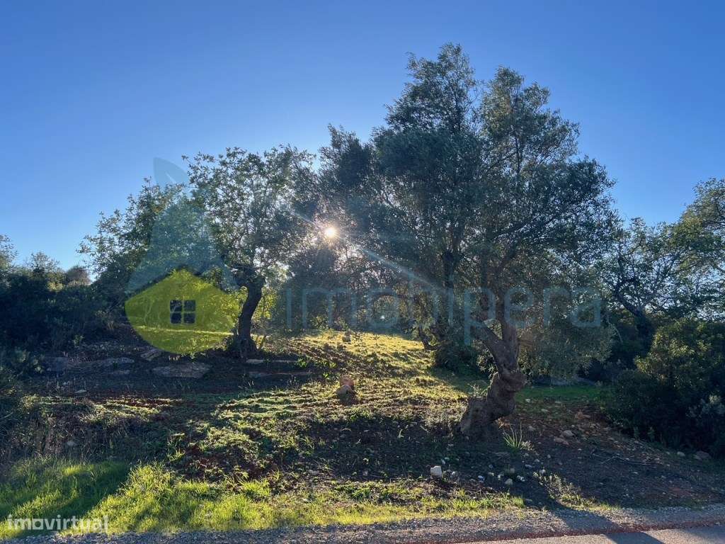 TERRENO RÚSTICO 6.000m2 ZONA CAMPESTRE - Grande imagem: 3/17