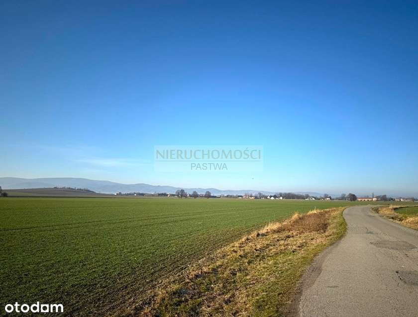 Działka budowlana o pow. 1997 m2/Włóki! - Pełny obrazek: 4/7