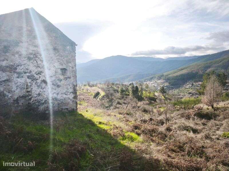 Quintinha T1 / Covilhã, Teixoso e Sarzedo - Grande imagem: 5/14