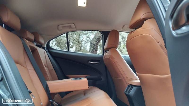 Lexus UX 300e Luxury - 14