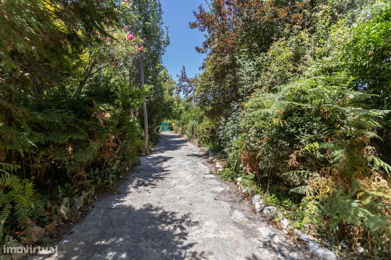 Vila de Prestígio T7+2 com 5.000 m² de Privacidade na Verdizela-45