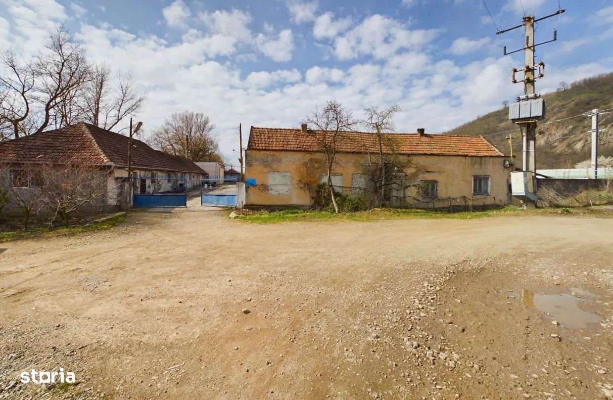 Fabrica prelucrare lemn de vanzare – Lipova, Arad-13