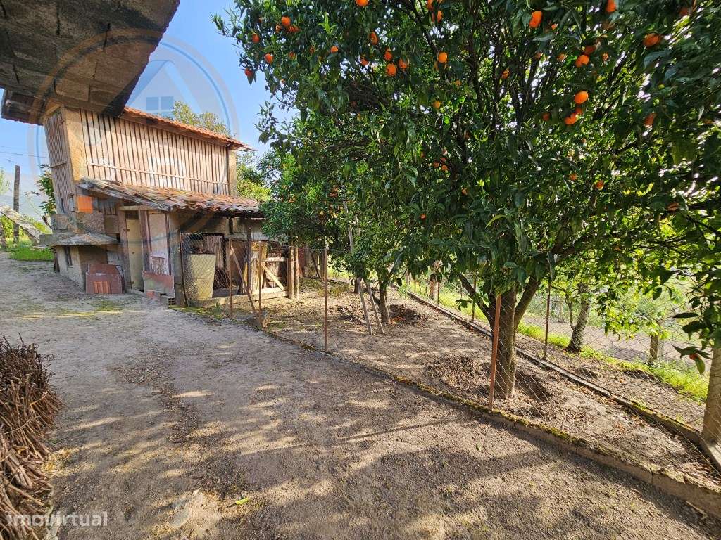 Moradia T4, em pedra, com terreno de 2.366 m² e Espigueiro datado d...-46
