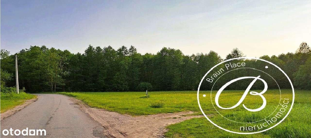 ⭐⭐Działki nad jeziorem Dreństwo, Rybczyzna o pow.  4504 m²  i 7101 m²⭐ - Pełny obrazek: 4/5