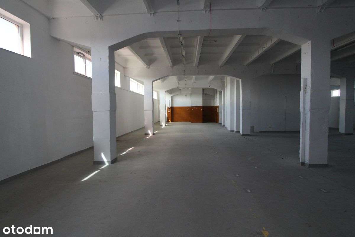 Do wynajęcia Magazyn - Podgórze - Rybitwy - Pełny obrazek: 4/13