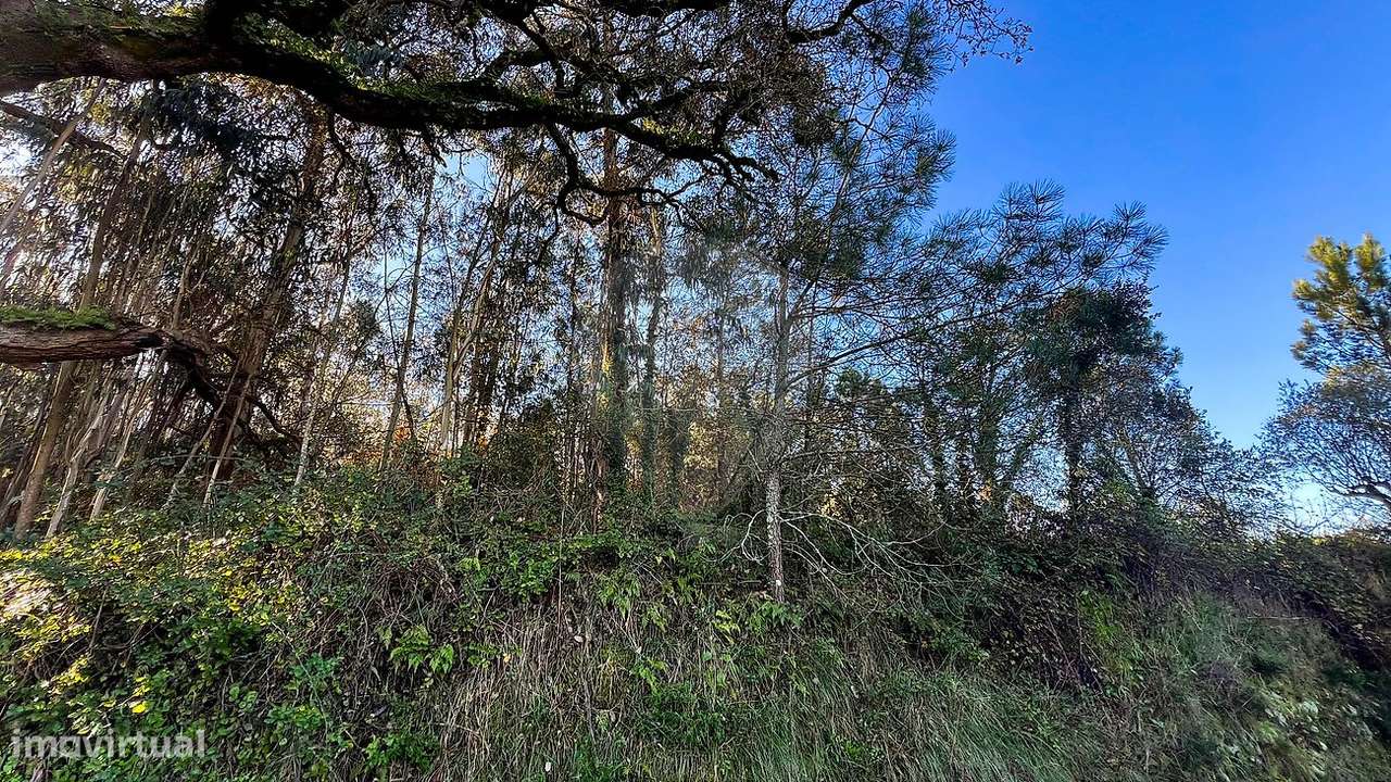 Terreno  para venda - Grande imagem: 4/10