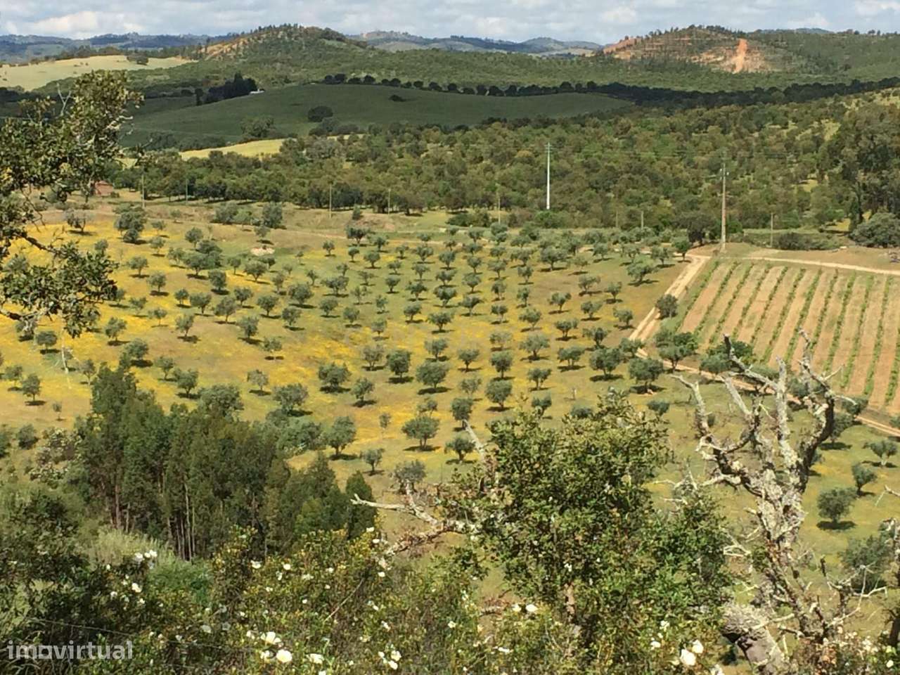 Herdade para Reconstrução em Azenha de Baixo 40 Hectares - Grande imagem: 5/12