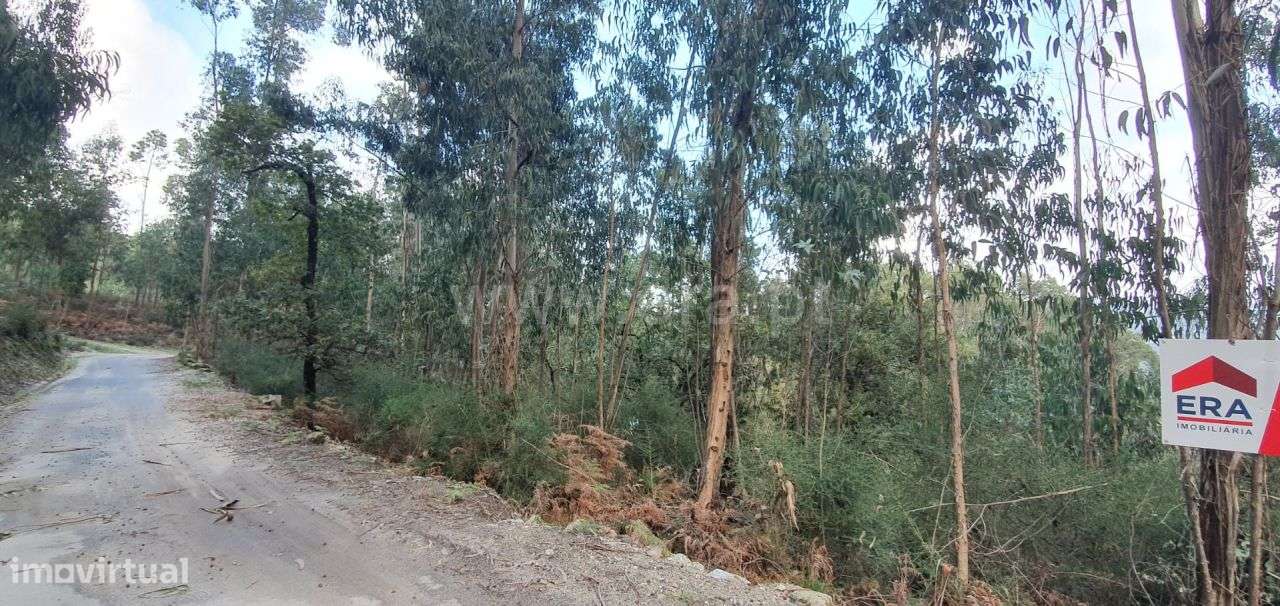 Terreno - Grande imagem: 5/20