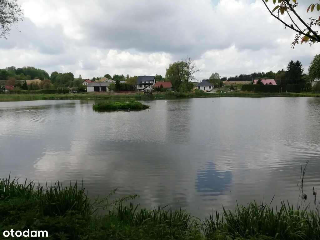 Działka o pow. 4,6 ha w Klementowicach gm. Kurów. - Pełny obrazek: 4/8