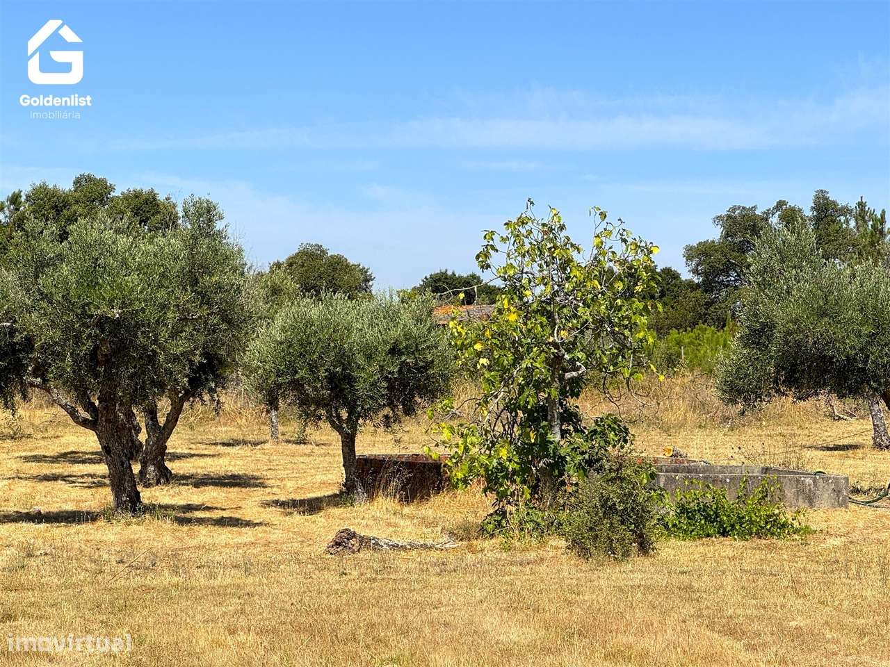 Quinta  Venda em Lardosa,Castelo Branco-49