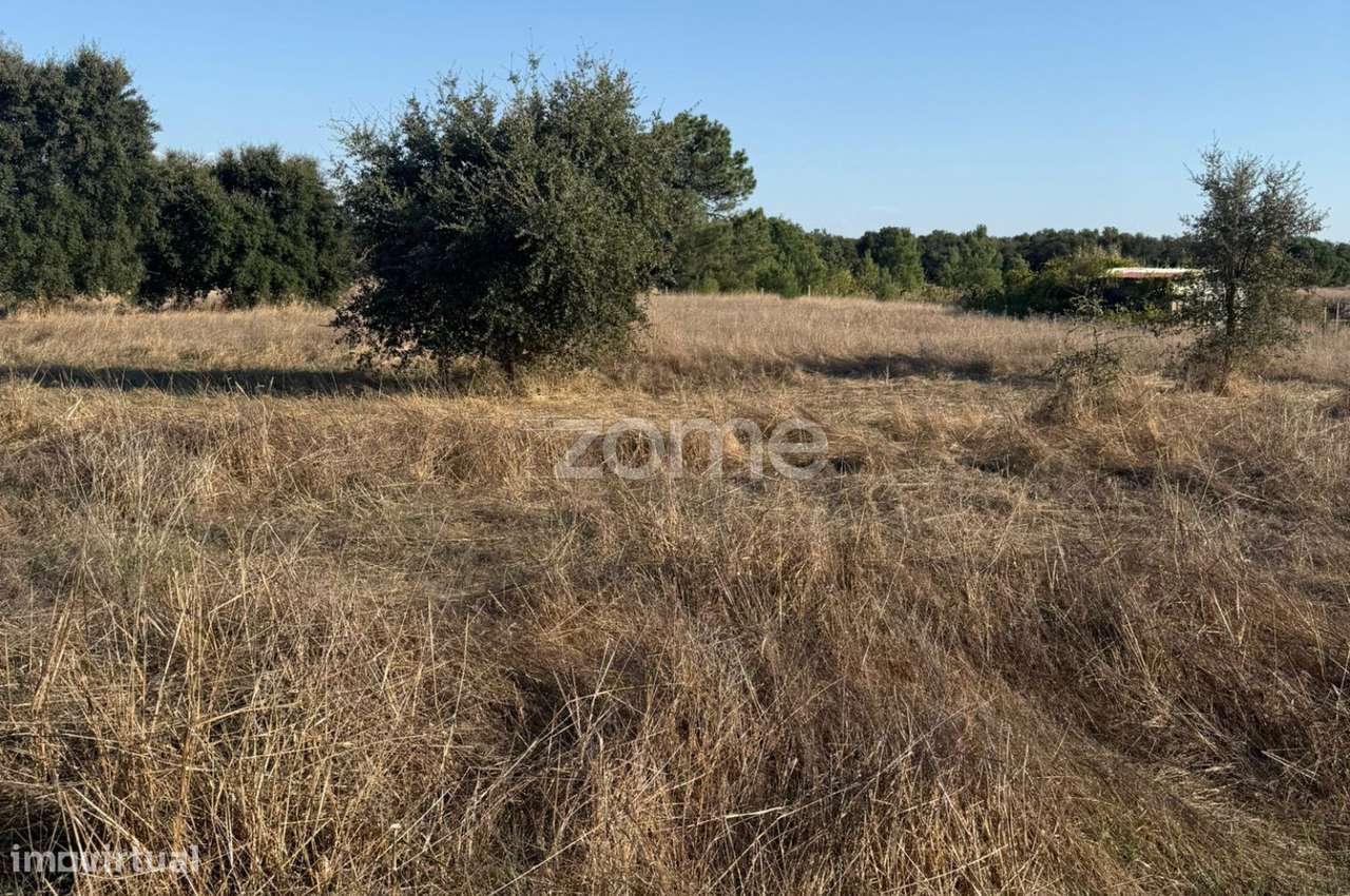 Terreno Rustico para Agricultura-2