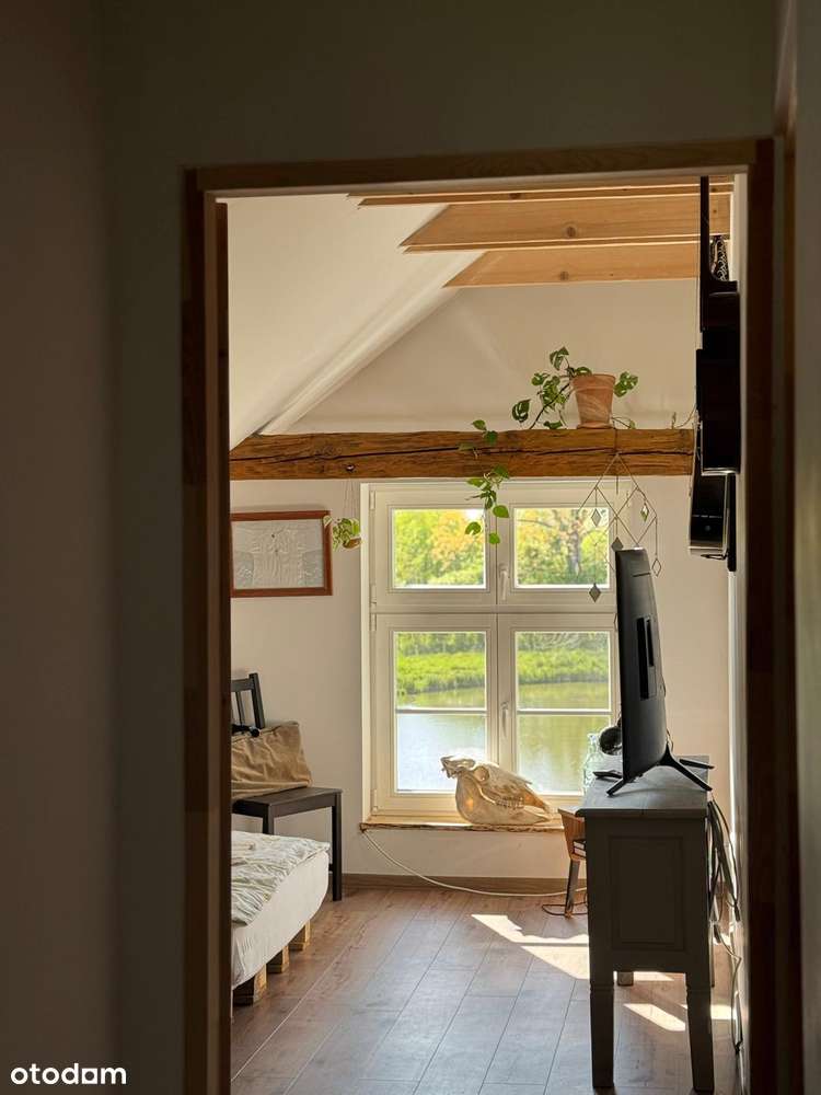 Urokliwe siedlisko na sprzedaż, Warmia-15