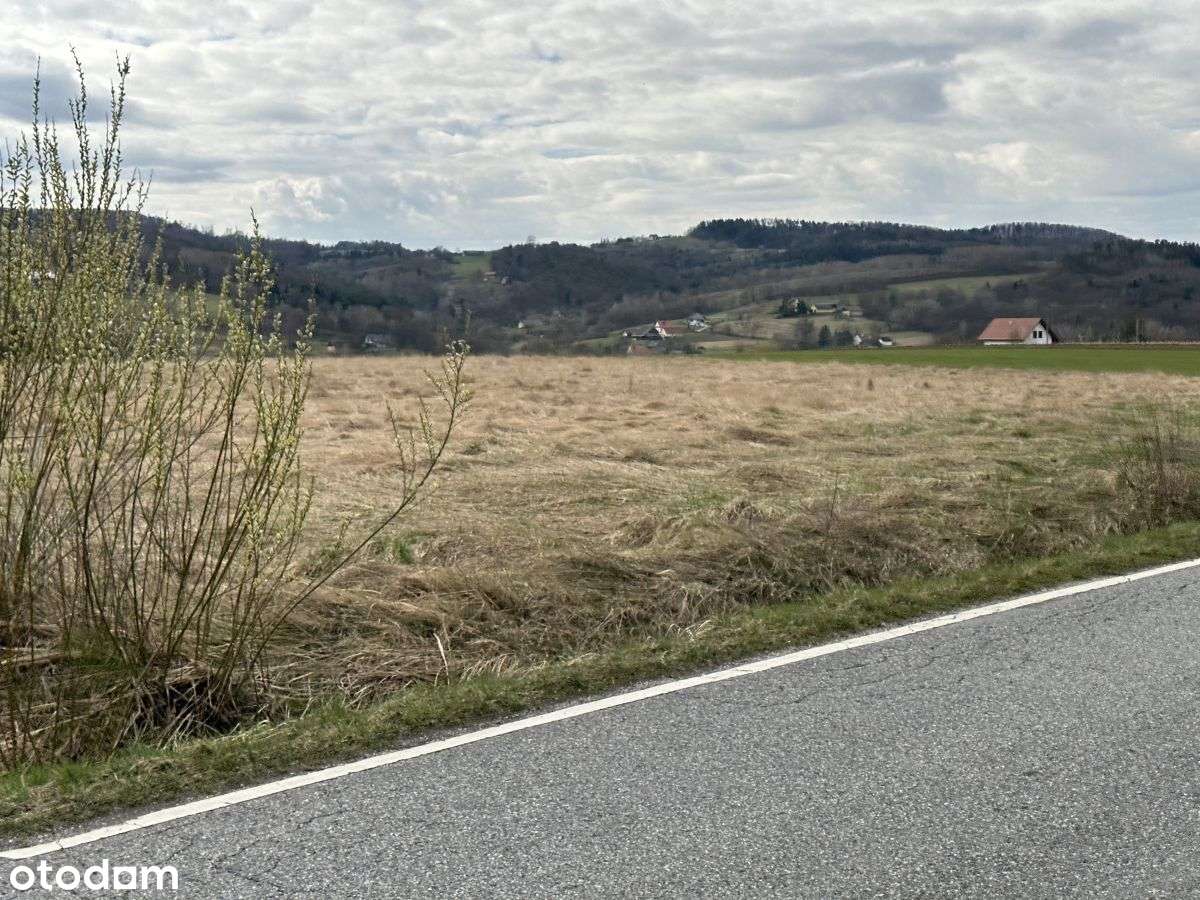 Działka, 5 754 m², Tarnawa - Pełny obrazek: 5/7