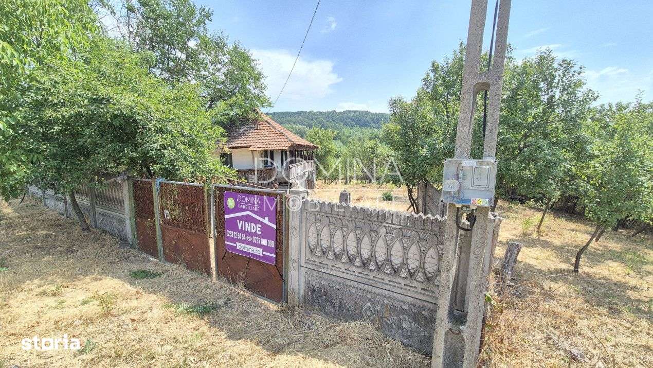 Vanzare proprietate in apropiere de complex turistic Musetesti - Imagine principală: 2/10