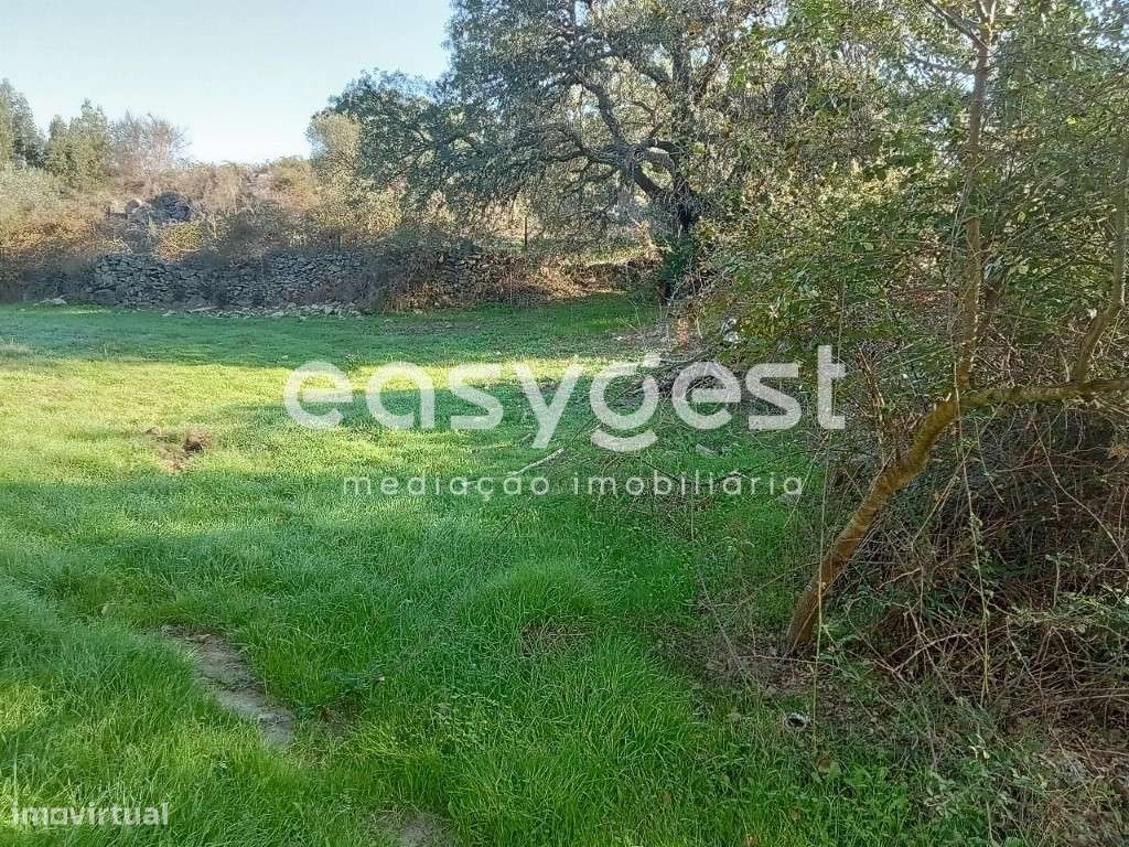 Terreno Rústico com 35000m2 localizado na aldeia de Póvoa Rio Moinhos - Grande imagem: 2/45