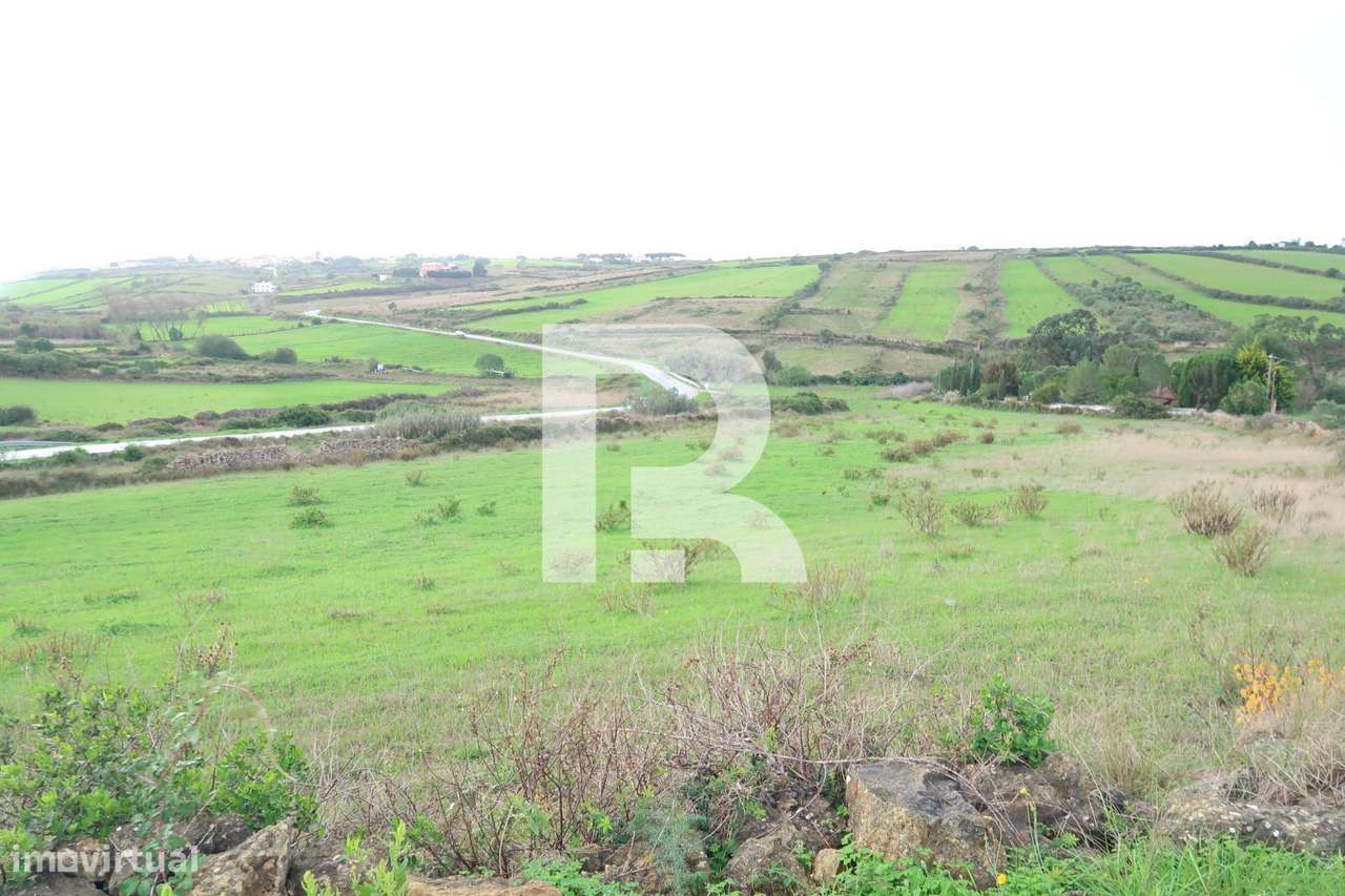 Terreno Rústico em Areias, S. João das lampas - Grande imagem: 4/11