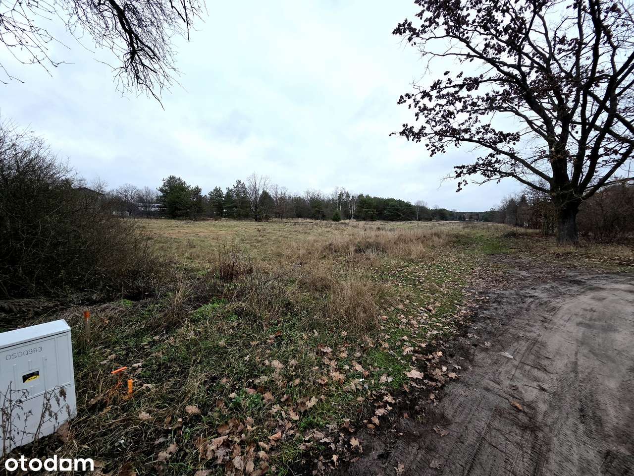 Działka z w-z pod zabudowę jednorodzinną, 15 min od Gocławia - Pełny obrazek: 4/8