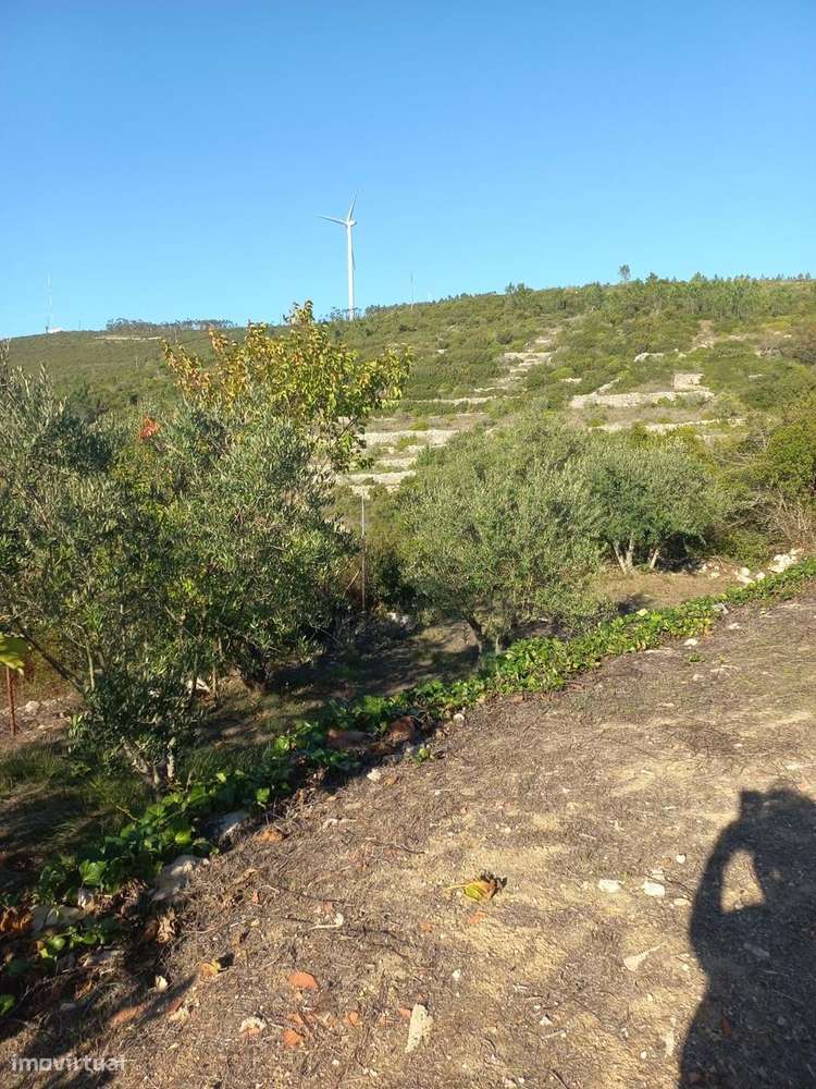 Casa T1 com terreno construtível de 900m² ,Torre, Reguengo do Fetal - Grande imagem: 5/6