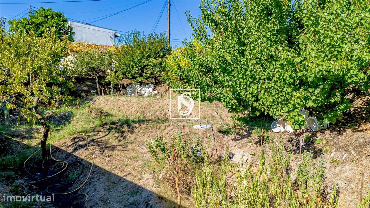 Terreno Para Construção  Venda em Amarante (São Gonçalo), Madalena, Ce-8