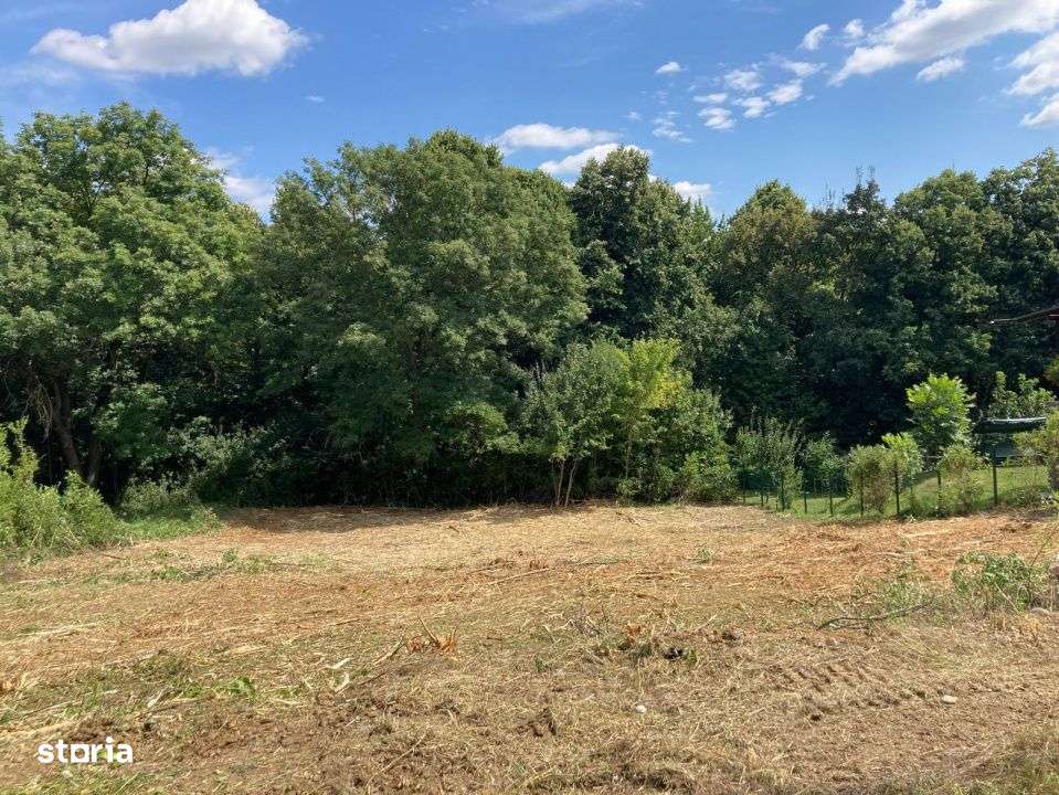 TEREN INTRAVILAN 1060 MP, BUCIUM- BARNOVA, DESCHIDERE LA DRUM 23 M - Imagine principală: 1/5