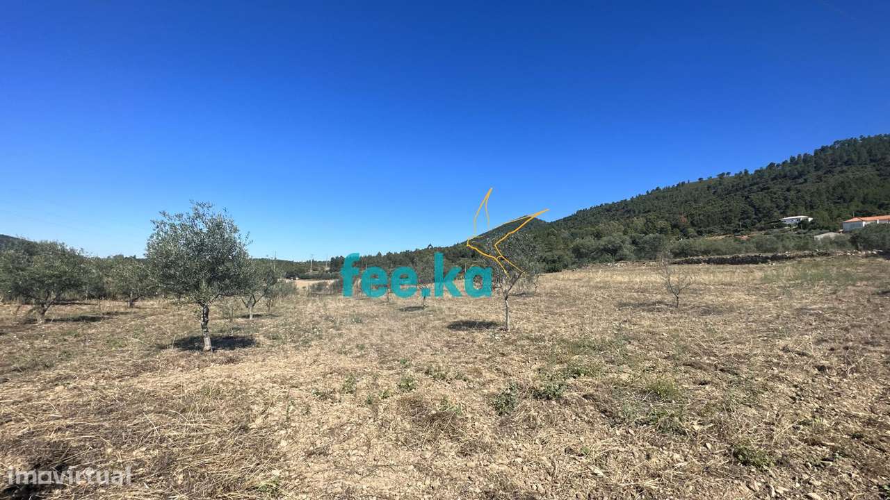 Quintinha em Monfortinho-21