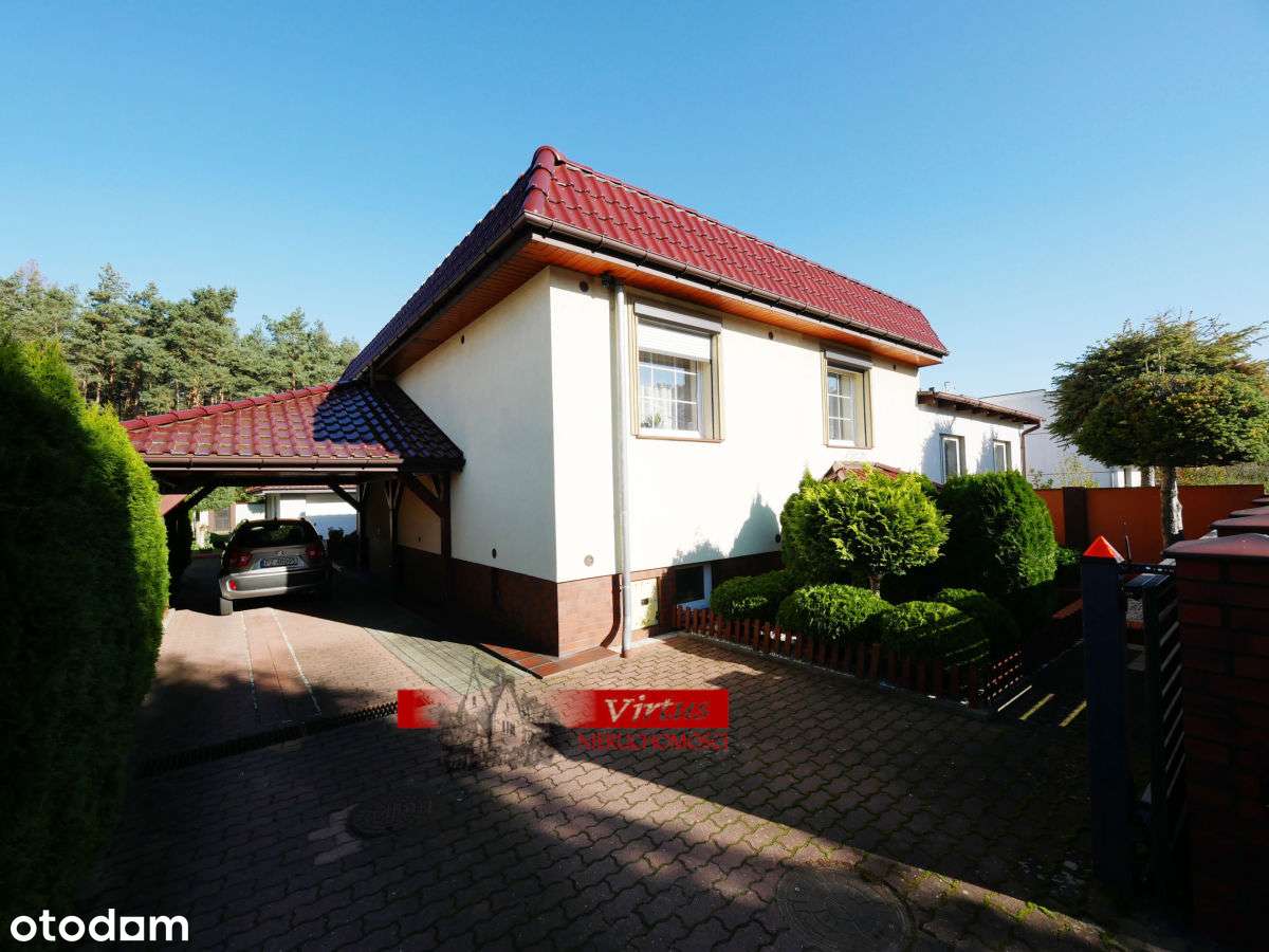 dome przy ścianie lasu-1