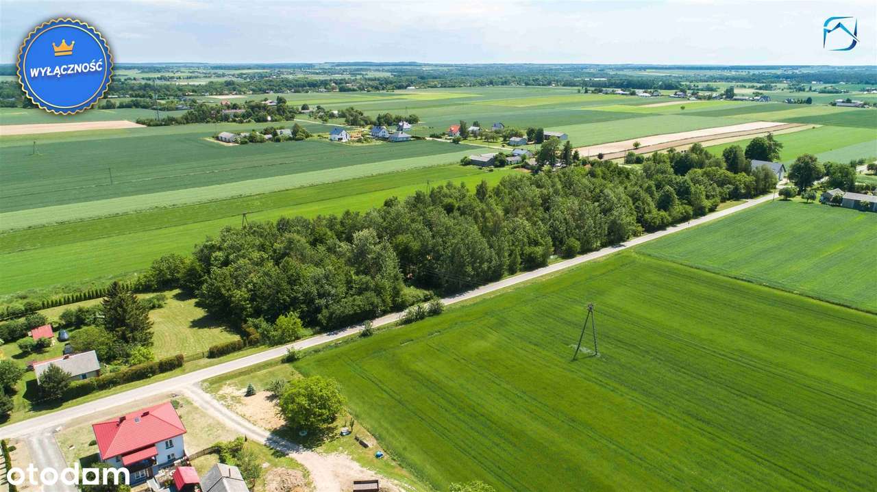 Nietuzinkowy grunt z altanką i strefą rekreacyjną - Pełny obrazek: 2/20