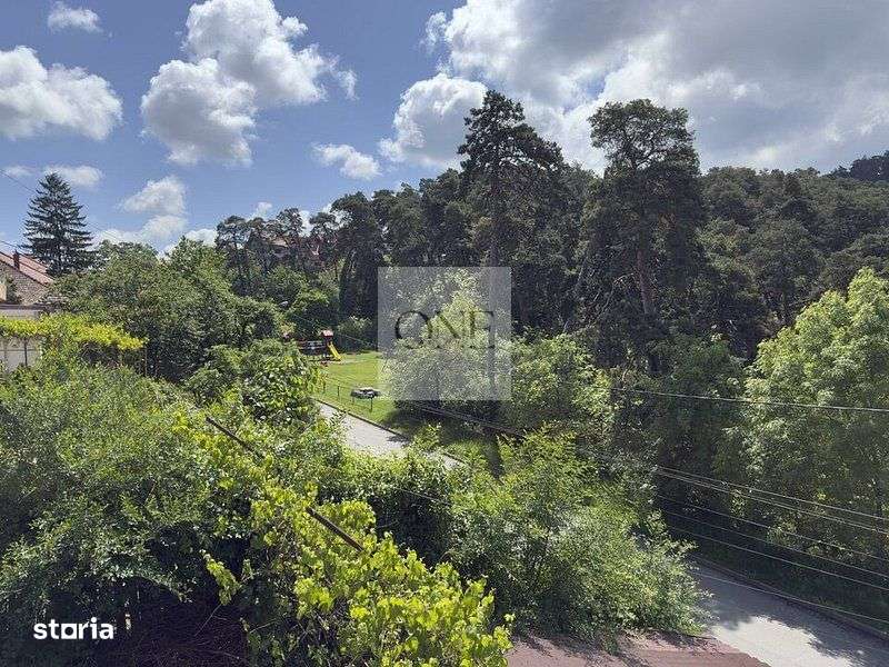 Apartament in vila - zona Blumana-1