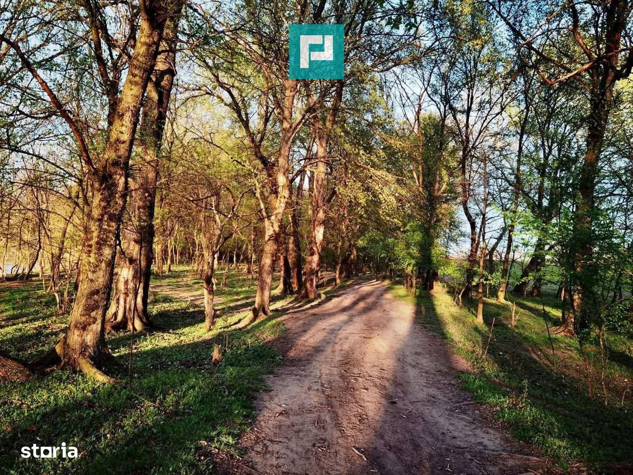 Teren pe malul Muresului- oportunitati multiple - Imagine principală: 3/20