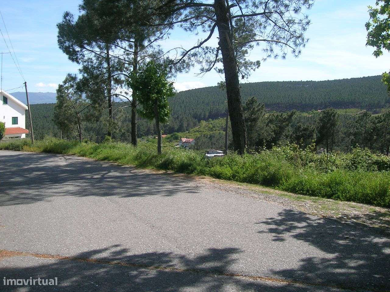 Terreno para a minha vivenda-2