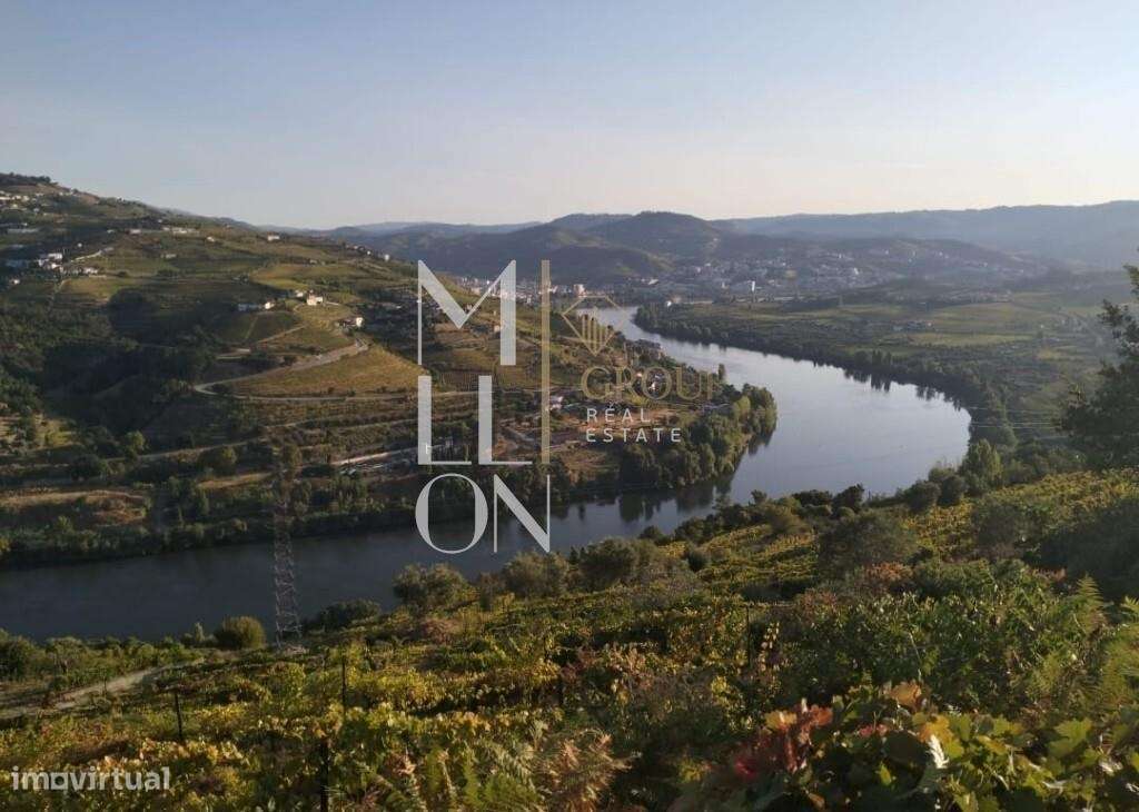 Quinta com 3 hectares e vistas desafogadas para o rio Douro-13