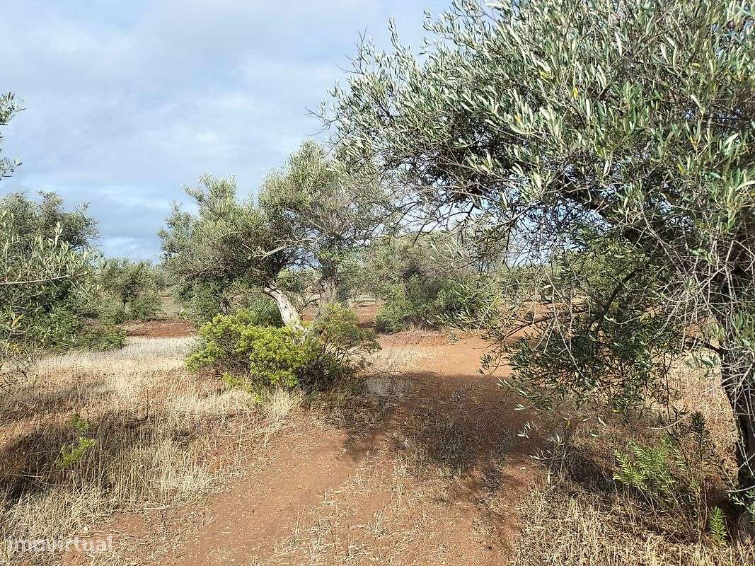 Terreno  para venda - Grande imagem: 5/7