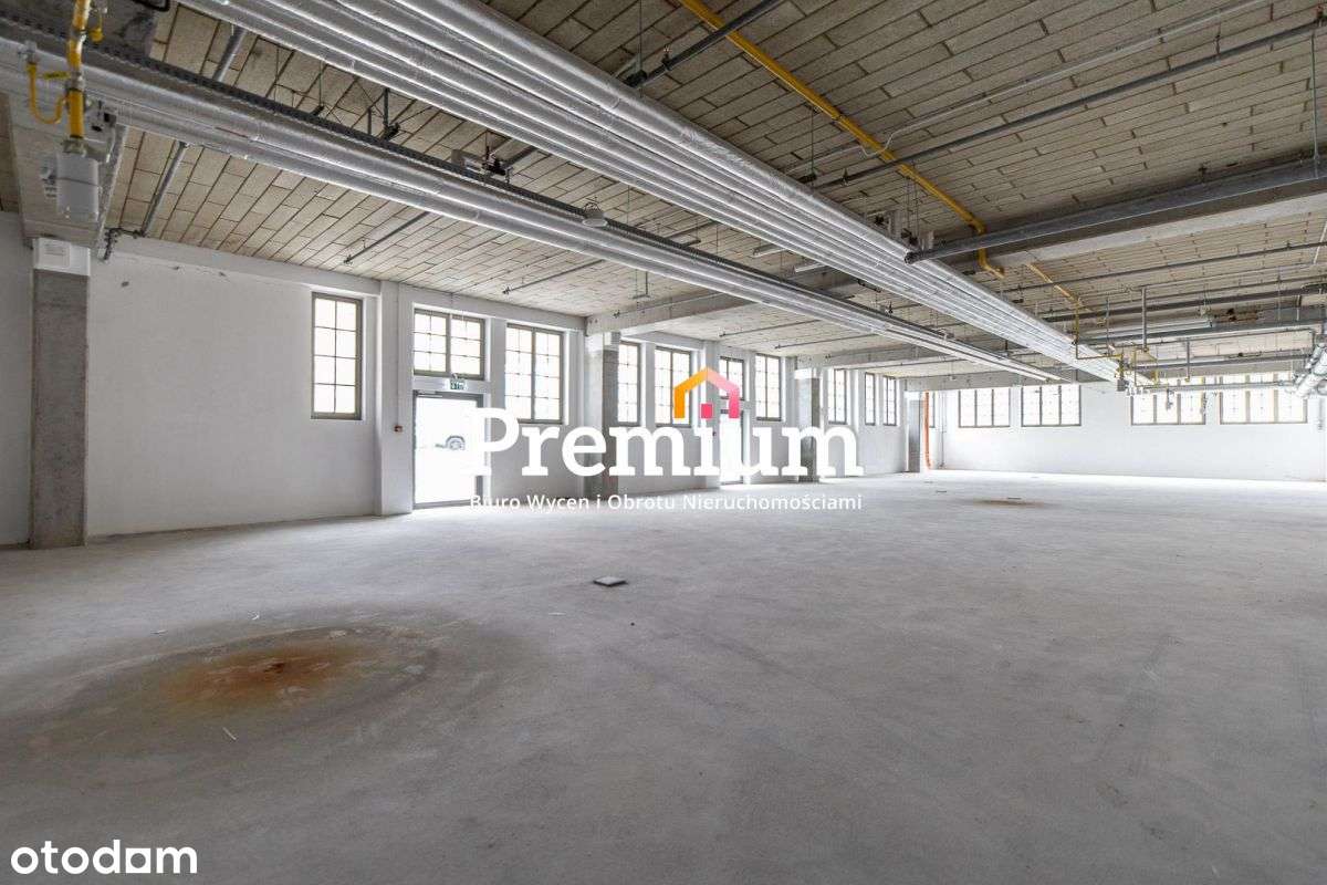 Focus Mall, centrum miasta, - Pełny obrazek: 1/11