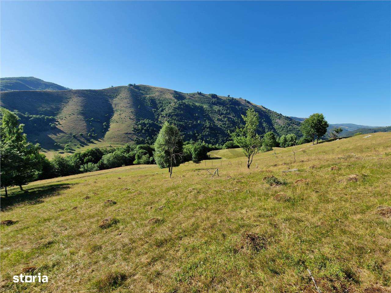 RECO teren extravilan Remeti - Imagine principală: 2/9