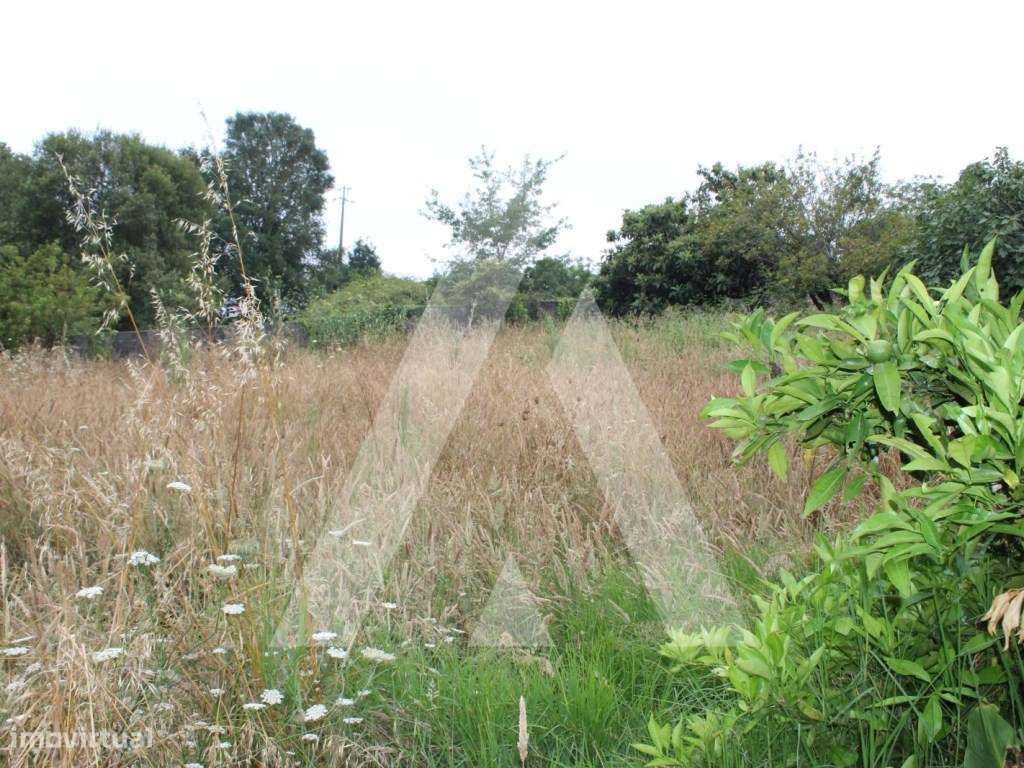 Terreno em Serém de Cima - Macinhata do Vouga - Grande imagem: 5/8