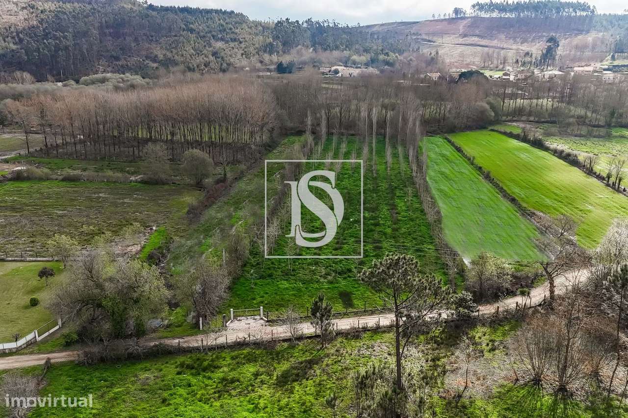 Terreno Agrícola para venda em Ponte de Lima! - Grande imagem: 4/19