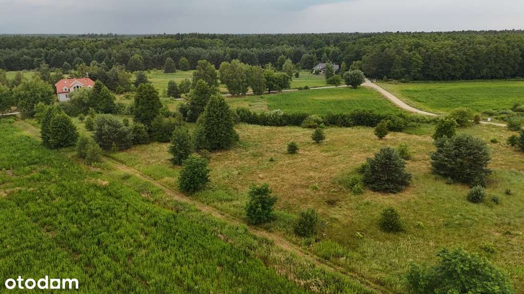 Warunki zabudowy, prąd, woda - Pełny obrazek: 5/15