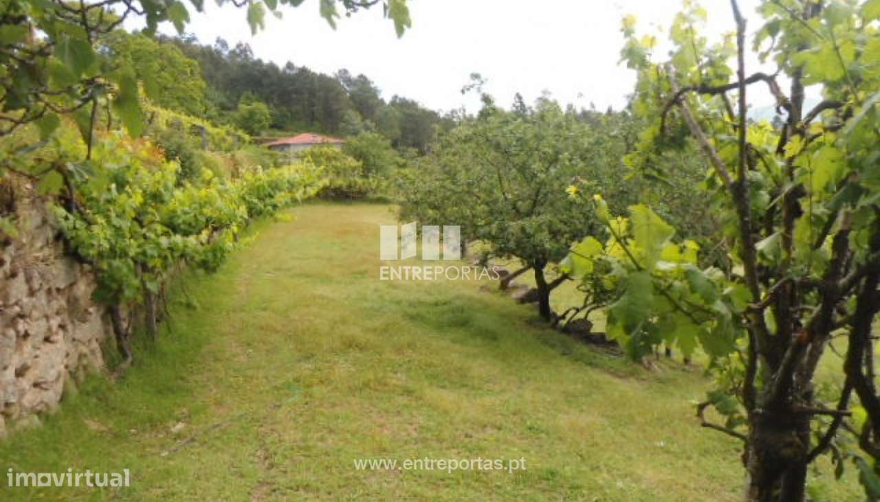 Venda Terreno, Penha Longa, Marco de Canaveses - Grande imagem: 3/21