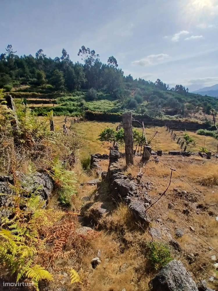 Terreno rústico com casa em pedra para recuperar – Soajo, Arcos de Val-22
