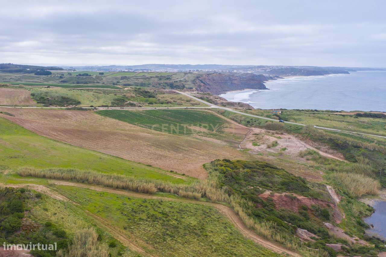 Vende se Terreno Rústico, em Pai Mogo, Lourinhã - Grande imagem: 5/20