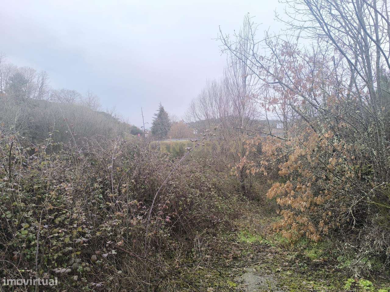 Terreno rústico com 4500 m2 , à beira da estrda Nacional 213 - Grande imagem: 4/14