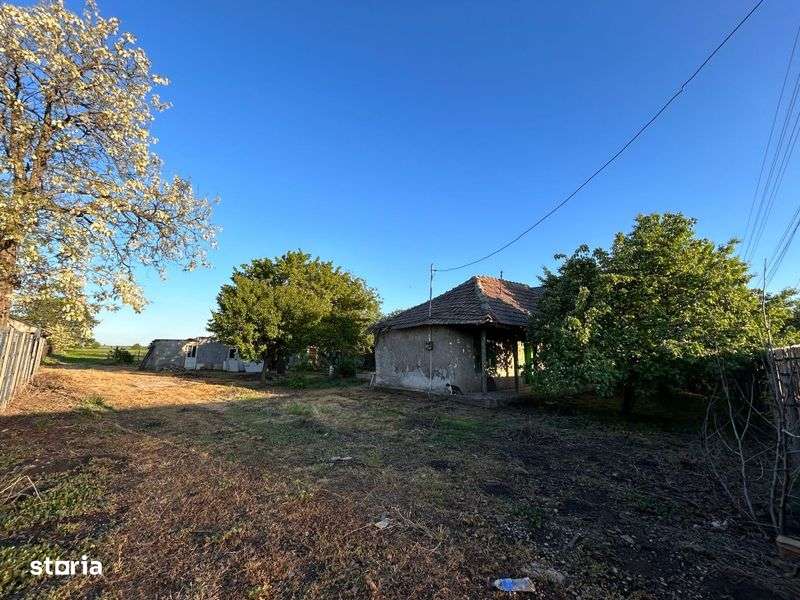 Vand teren loc. Ogoru, jud. Calarasi - Imagine principală: 5/6