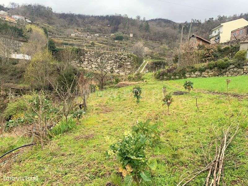 Terreno / Baião, Teixeira e Teixeiró - Grande imagem: 3/10