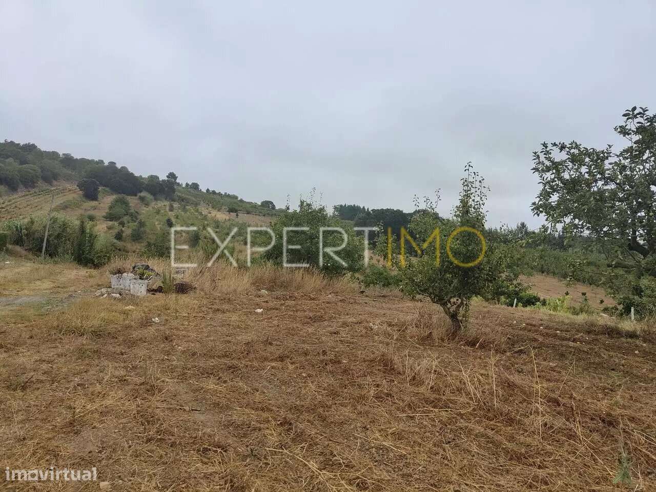 Terreno misto para quintinha na Delgada/Bombarral - Grande imagem: 4/18