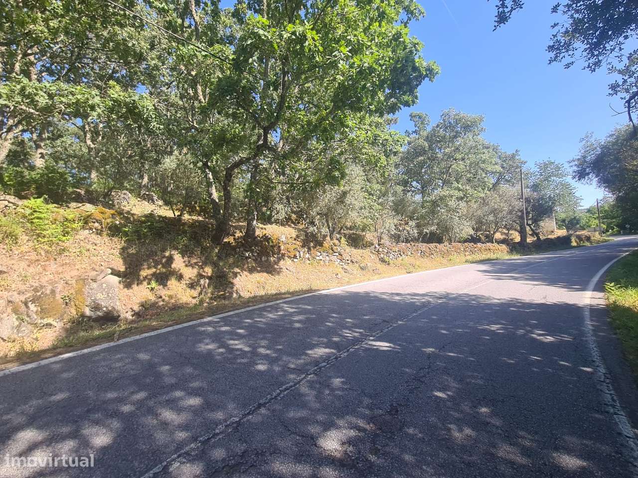 Marvão - Moradia ant. 1951 - Lote 2878 m2, Serra S. Mamede-18