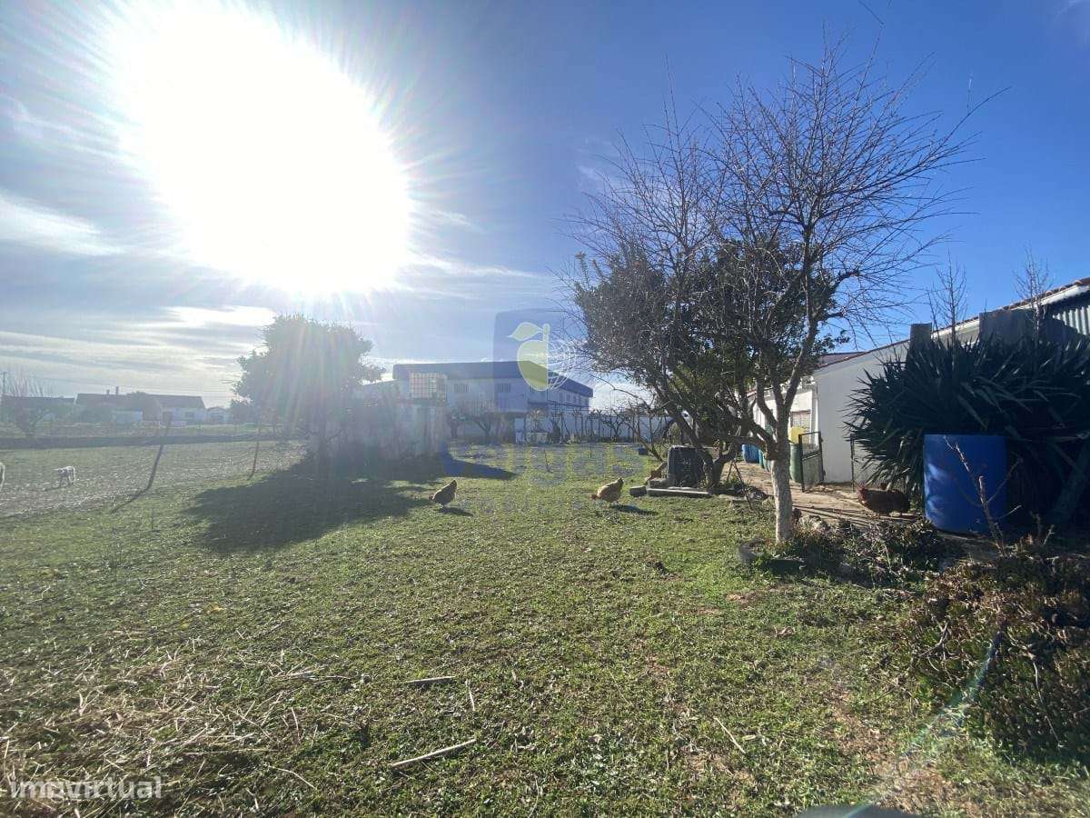 Moradia T4+1 Póvoa da Isenta - Grande imagem: 4/44